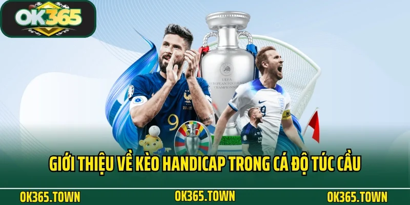 Kèo Handicap Và Kiến Thức Cá Cược Cực Chuẩn Tại OK365 2 Giới thiệu về kèo Handicap trong cá độ túc cầu