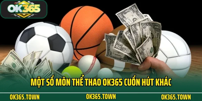 THỂ THAO 6 Một số môn thể thao OK365 cuốn hút khác